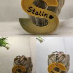 S Alphabet Resin Art Keychain Letter